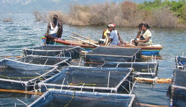 Aquaculture : Ana et Olag nouent un partenariat pour restaurer les écosystèmes du Lac de Guiers