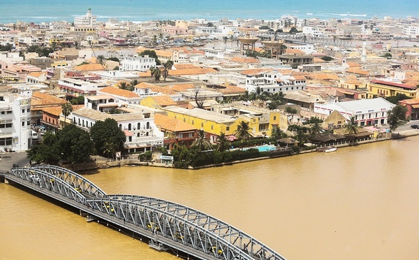 Paludisme à Saint-Louis : des avancées notables mais des groupes à haut risque persistent