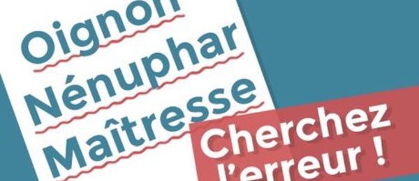 Réforme orthographique : 2400 mots changent dès la rentrée scolaire, et adieu l’accent circonflexe
