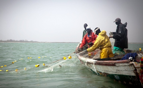 Pêche artisanale : accord renouvelé entre le Sénégal et la Guinée-Bissau