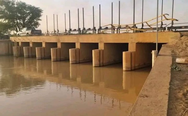  Ross-Béthio: une jeune femme meurt noyée après la chute d’un véhicule dans un canal à Mboundoum