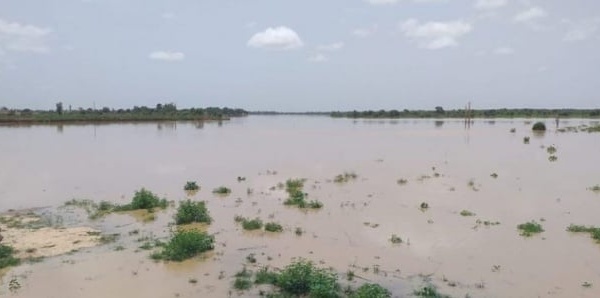 Crue du fleuve Sénégal : Matam frôle le seuil d’alerte