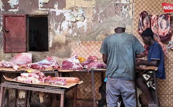 Saint-Louis : Les bouchers du marché Sor réclament le retour des camions de transport de viande