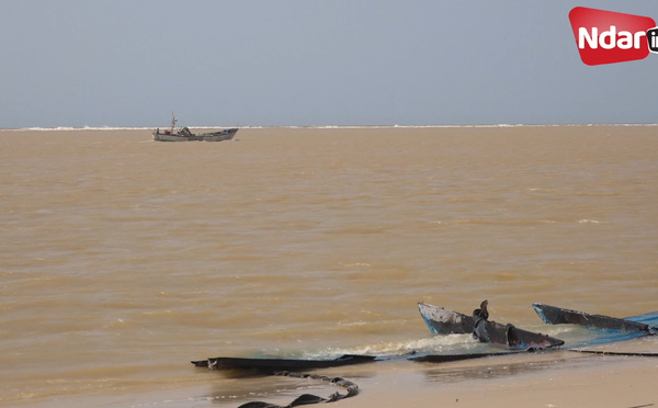 Brèche de Saint Louis : Des experts avancent des solutions pour endiguer la catastrophe