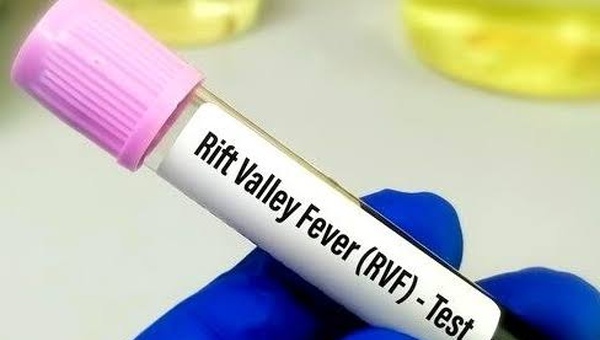 Fièvre de la vallée du Rift : 18 décès enregistrés à Saint-Louis depuis le 21 septembre