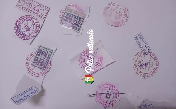 Réseau de faux documents démantelé à Saint-Louis : une "fabrique" de faux extraits de naissance, certificats et diplômes découverte