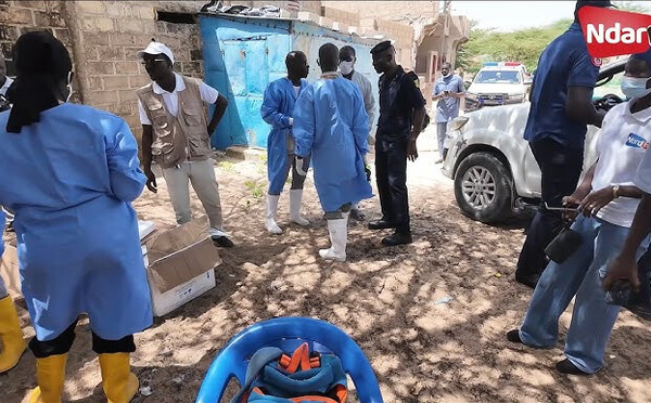 Épidémie de FVR : La région de Saint-Louis reste l’épicentre avec plus de 300 cas confirmés