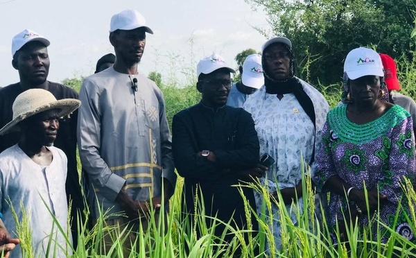 Pastef Dagana en tournée pour recueillir les préoccupations des populations
