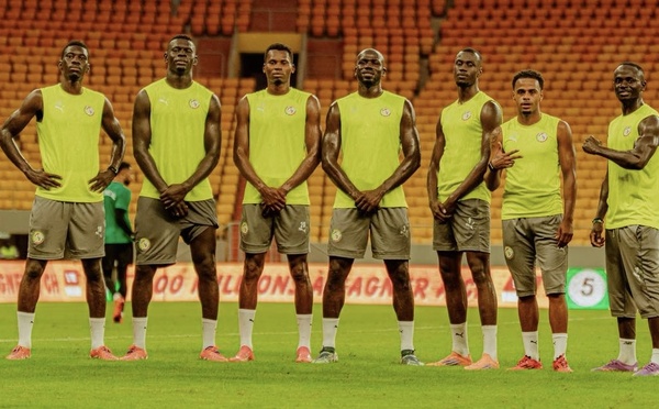 Londres : début de stage pour les Lions avant le choc contre le Brésil