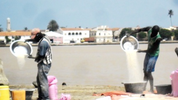 Sénégal : L’activité économique progresse de 5,6% au mois de en février 2016