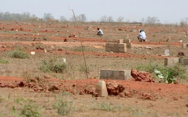 Mbane : Les populations de Pathé Badjo manifestent contre l'attribution de 1000 hectares à une société agro-industrielle