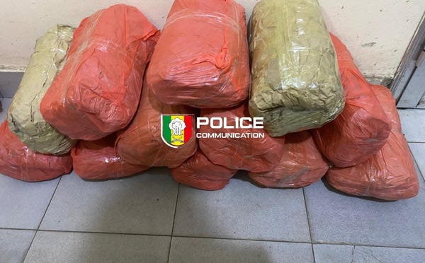 Sirmang : 24 blocs de chanvre indien interceptés par l'OCRTIS