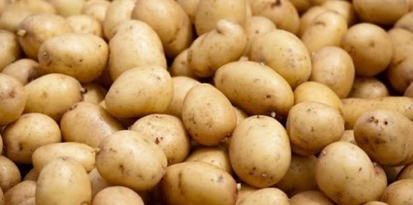 Sénégal : gel des importations de pomme de terre et d’oignon