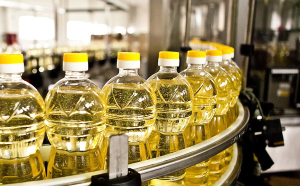 Bassirou Diomaye Faye reçoit Mavamar Industries avant l'inauguration de la raffinerie de Sendou