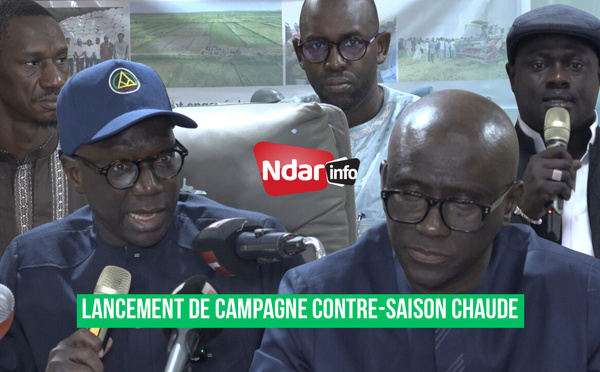 Saint-Louis : Mabouba Diagne préside le lancement de la campagne rizicole de saison sèche 2026