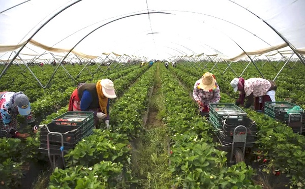 Espagne : Régularisation de 500 000 à 800 000 sans-papiers annoncée