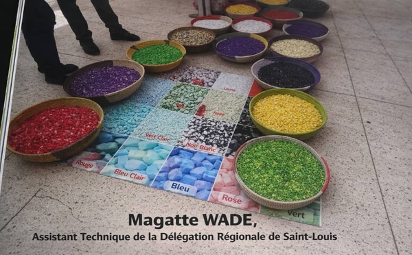 Valorisation des déchets solides : un levier stratégique de création d’emplois et de richesses au Sénégal. Par Magatte WADE