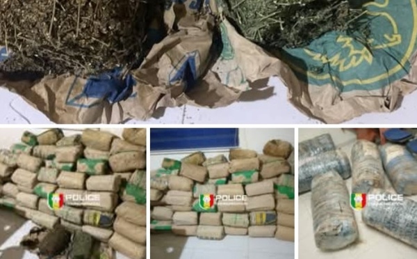 Mbour : 120 kg de chanvre indien saisis sur la plage de Tripano