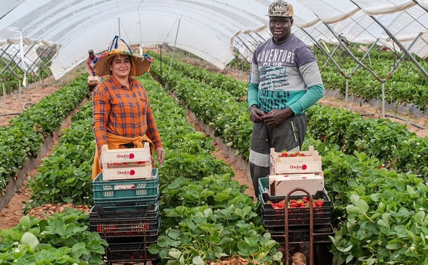 Régularisation massive en Espagne : 500 000 migrants concernés, une aubaine pour les Sénégalais