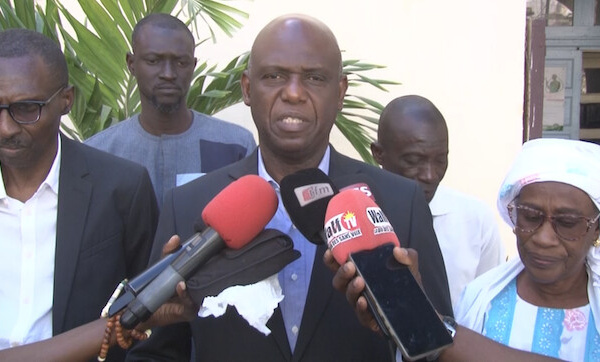 Offensive Ville Verte : Saint-Louis et Rastatt investissent 300 millions pour 5 300 arbres