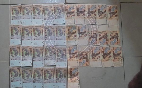 10 tonnes d'arachides et 500 000 F de faux billets : Le bilan de l'opération de Salikégné