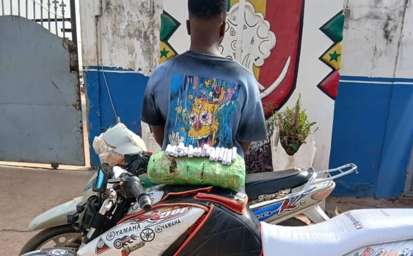 "Course-poursuite à Kolda" : Plus de 44 kg de chanvre indien saisis par la police en une journée