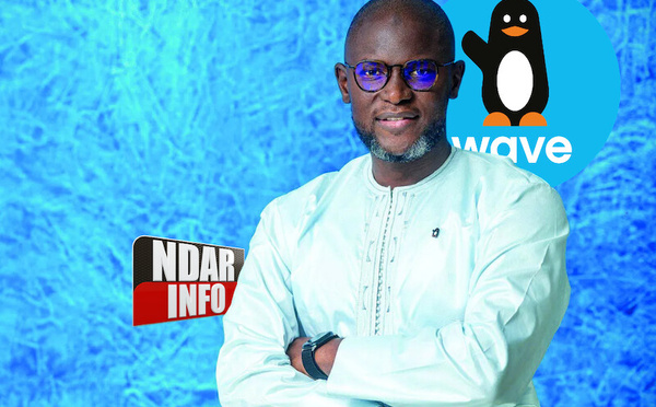 Wave : 38 millions de comptes, crédit, épargne et assurance en préparation