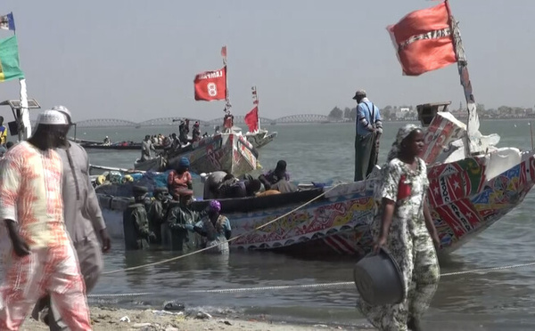 Saint-Louis : les pêcheurs célèbrent leur "victoire historique" contre BP devant le PCN britannique