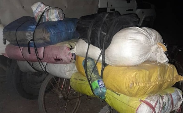 Lutte contre le trafic : La BRS de Sédhiou démantèle un convoi de chanvre indien vers la Guinée-Bissau