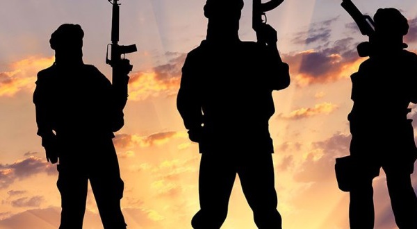 Un numéro vert contre le terrorisme  ( 800 00 20 20)