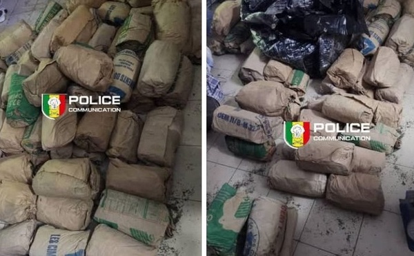 Lutte contre le trafic de drogue : La BRS saisit 118 kg de chanvre indien à Dakar