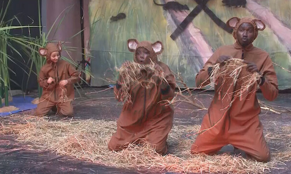 Saint-Louis : le théâtre sensibilise aux rongeurs nuisibles