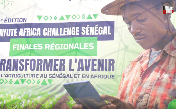 Saint-Louis : finale régionale de l'AYuTe Africa Challenge avec plus de 300 candidatures