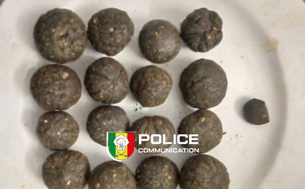 Ziguinchor : Saisie record de haschich et de chanvre indien par la BRS