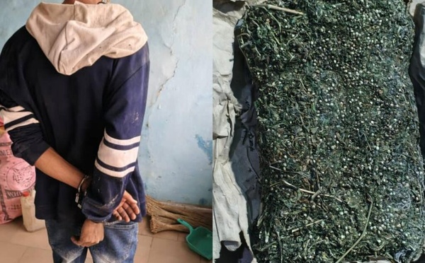 Saisie de 3 kg de drogue à Sédhiou, un étudiant de l'UGB sous les verrous