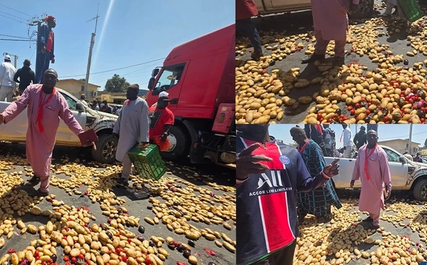 Maraîchers des Niayes en colère : La commercialisation du riz et de l'oignon bloquée