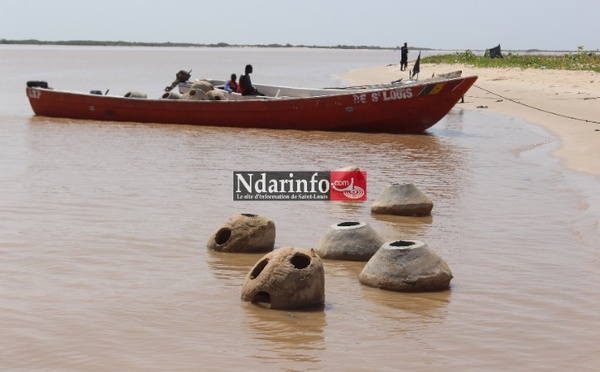 Saint-Louis : Le CSE dote l’Aire Marine Protégée d’une nouvelle pirogue de surveillance