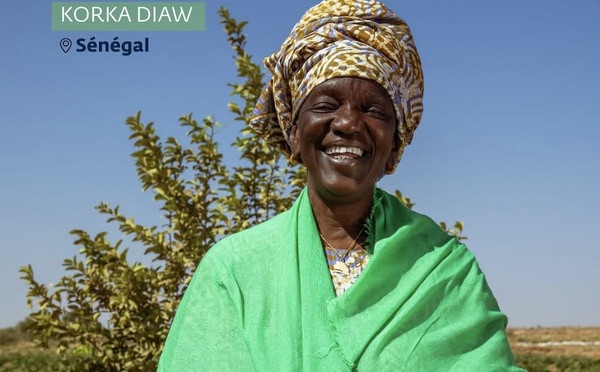 Portrait : Korka Diaw, la lionne du riz local dans la vallée du fleuve Sénégal