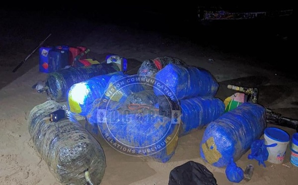 Joal : Saisie record de 510 kg de chanvre indien par la Gendarmerie de Mbour