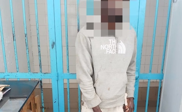 Affaire des " brochettes" de chat : les aveux glaçants du suspect
