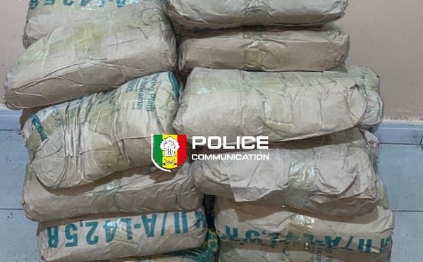 Kaolack : La Brigade des Stupéfiants saisit 25 kg de chanvre indien à Gagnick