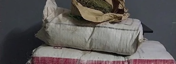 Course-poursuite à Sédhiou : La BRS intercepte 80 kilos de chanvre indien à Niadième
