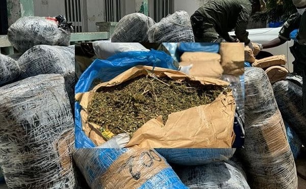 Kaolack : La Brigade des stupéfiants saisit 2 kg de chanvre indien à la frontière