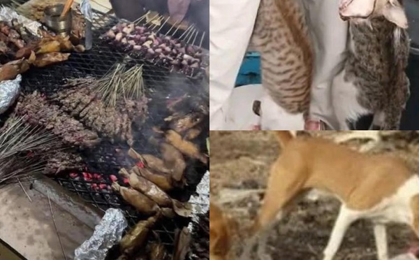 Insolite Hamo Téfess : Des jeunes surprennent des individus en train de griller du chien