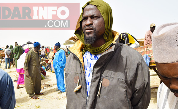 GUET – NDAR : des pêcheurs torpillent Macky SALL et déclarent Mansour FAYE persona non grata (vidéo)