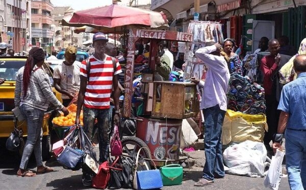 Sénégal : Le chômage élargi bondit à 23,3 % selon l'ANSD