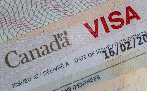 Immigration Canada : L’ambassade alerte les Sénégalais sur les arnaques au visa