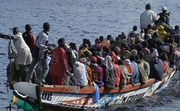 Ziguinchor : La DNLT stoppe un convoi de 200 migrants en partance pour l'Espagne