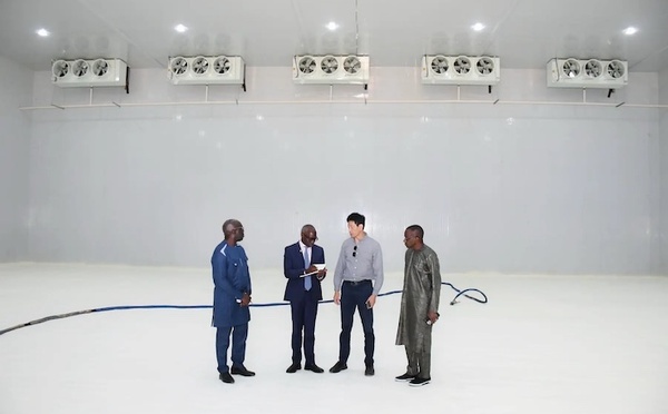 Diamniadio : La chambre froide de 10 000 tonnes de Lagifroid Agro est opérationnelle