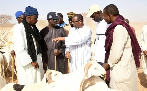 Tabaski 2026 : Le Sénégal et la Mauritanie facilitent l’importation de bétail